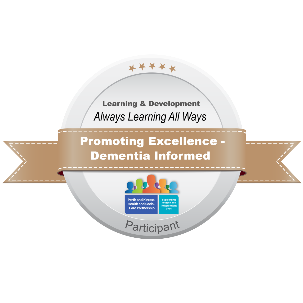 Promoting Excellence Informed - Participant